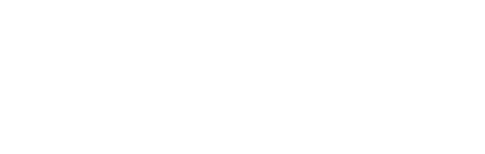 Cricket Carnival Banner Mobile